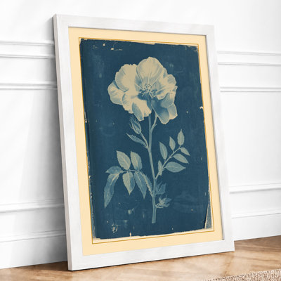 Pale Bloom Study Botanical - Print