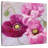 Harnek Purple Poppies I