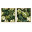 Liloh - Ensemble de 2 collages carrés tropicaux-101862205-101862202