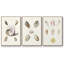" Pastel Knorr Shells I " 3 - Pieces-91891606-91891605