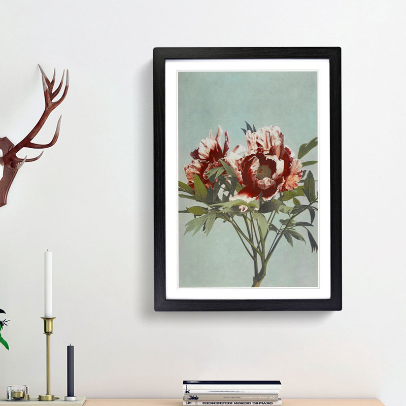 Tree Peony by Kazumasa Ogawa - Picture Frame Painting Print, 65cm H x 48cm W x 2cm D, Black Framed