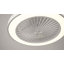 Ceiling Fan-1148570004