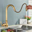 Rosdorf Park Kitchen Faucet