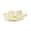 Tulip Centerpiece-1868603511