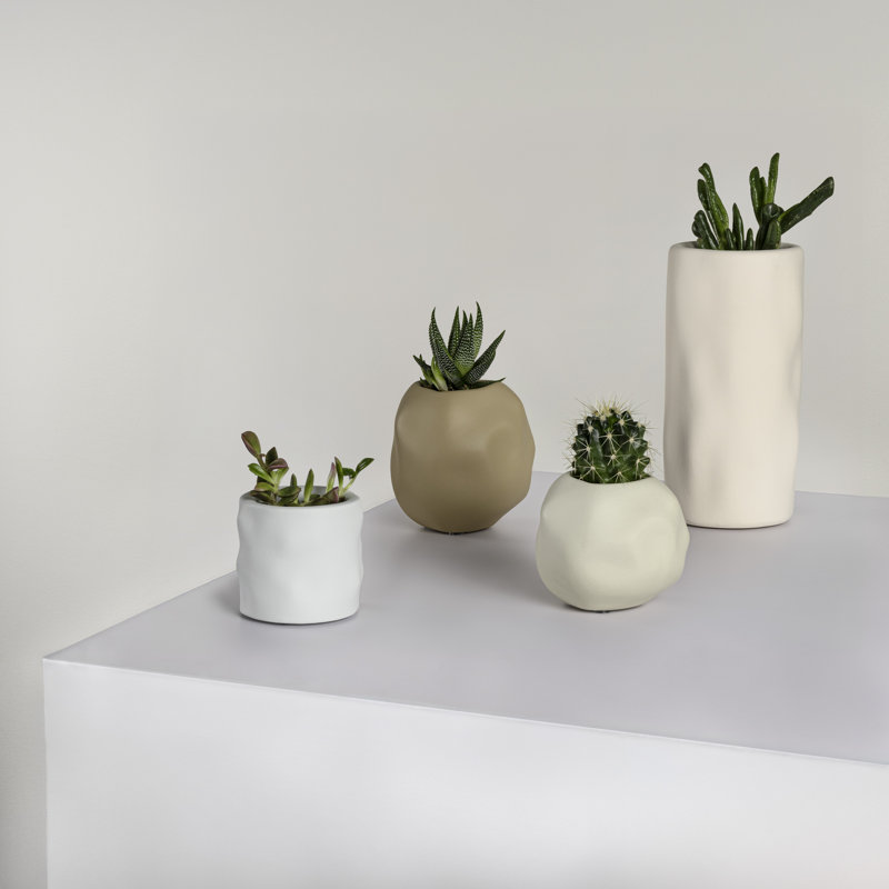 Linden, Matte Warm Neutral