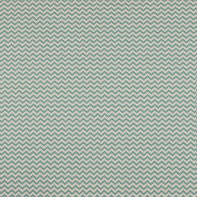 Tissu Suite Ziggy