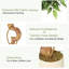 Ficus artificiel avec tronc courbé