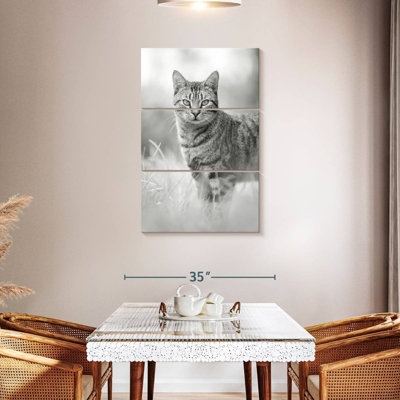 Brampt Grey Cat