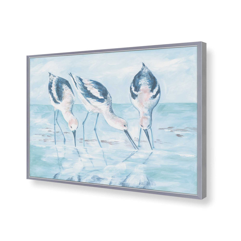 «Shorebirds I» par Diane Kater, reproduction d'art, L 40 x H 30, Argent, Impression encadrée