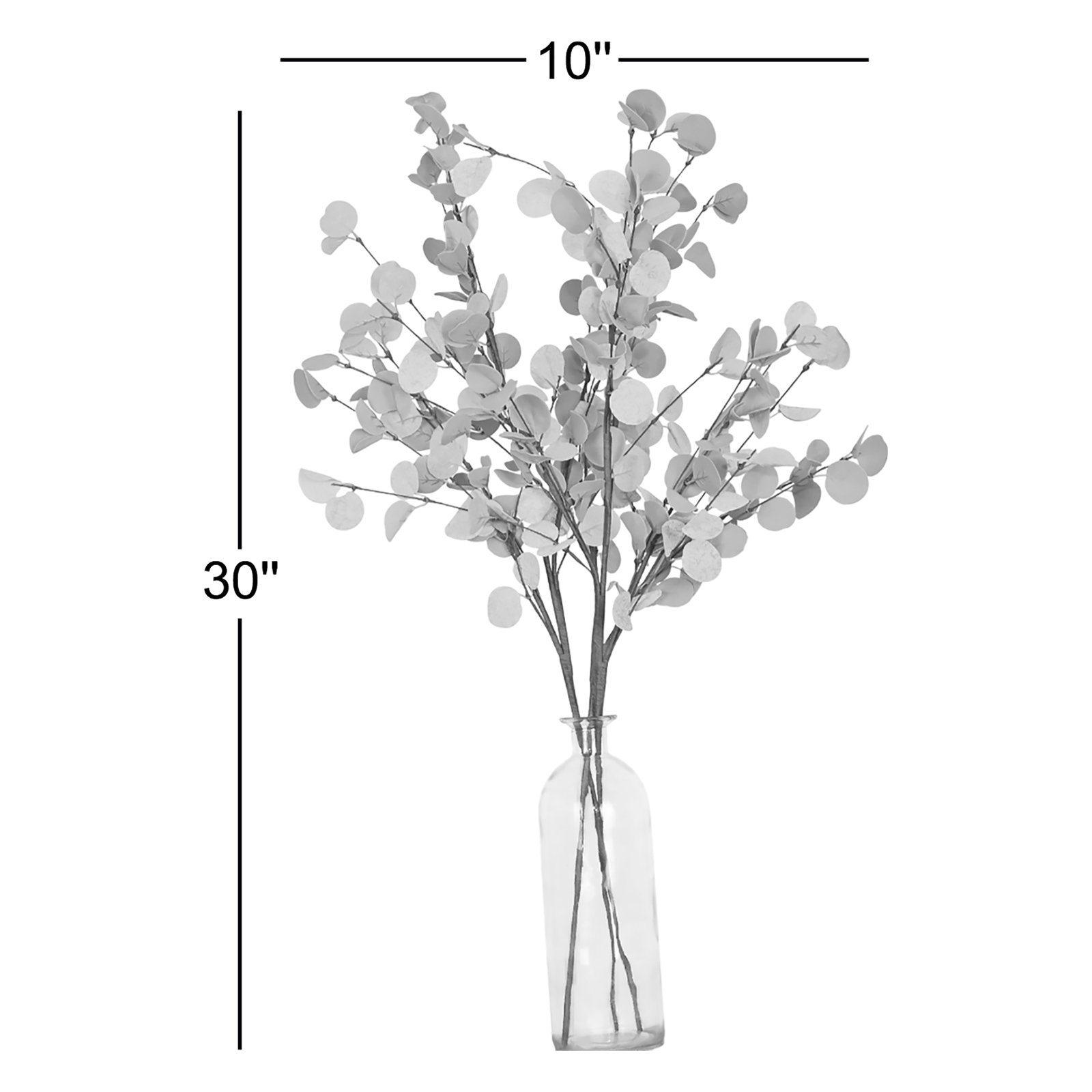 Eucalyptus Floral Stems, Red