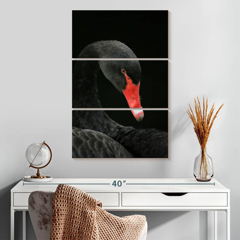 Tête de cygne noir Brampt, H 32 po x l 20 po