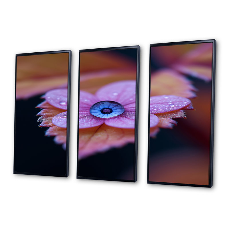 Macro rosée goutte pivoine rose - ensemble de décoration murale art floral moderne, H 28 po x l 36 po, Noir, noir, noir, noir