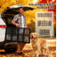 Rampe pliante pour chien