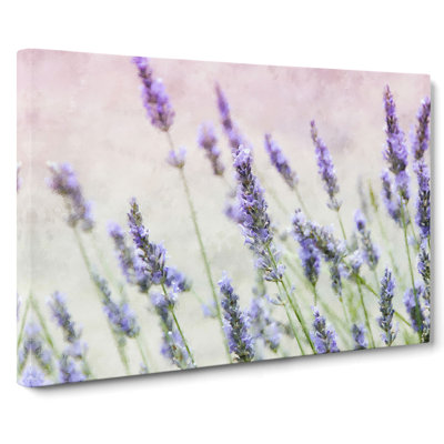 A Field Of Lavender Painting - Wrapped Canvas Painting