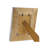 Markley Wood Matte Picture Frame-28675084