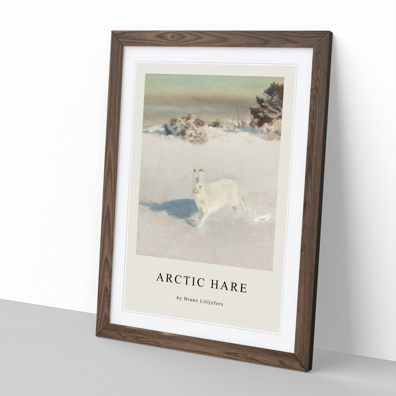 White Hare Vol.5 by Bruno Liljefors - Picture Frame Art Prints, Walnut Framed, 48cm H x 36cm W x 2cm D