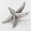 2" Starfish Small Knob-104674675-39948825