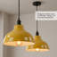 1 - Light Dome Pendant-1356561748-1356561747