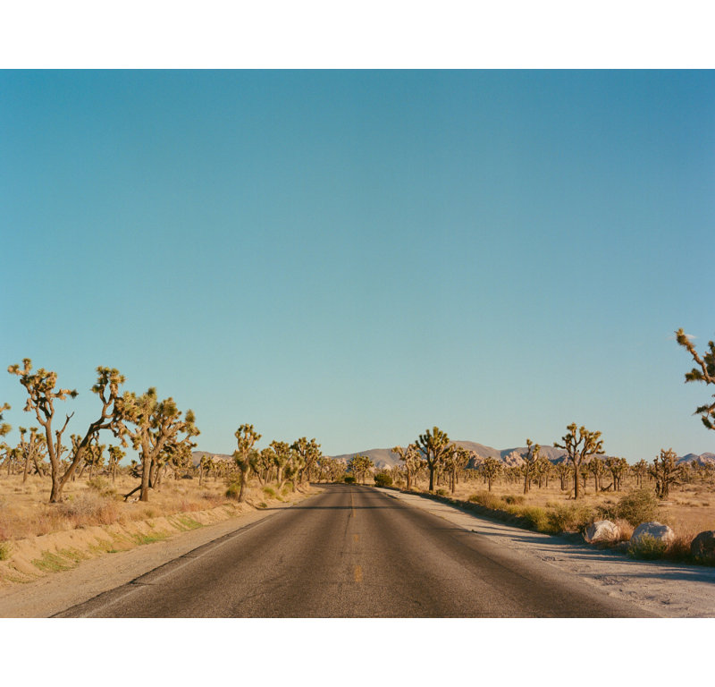 Wrapped Canvas Print, 50.8 cm H x 76.2 cm W