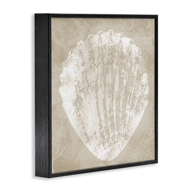 Coquillage rustique vieilli, estampe numérique par Carol Robinson, H 12 po x l 12 po, Giclée encadrée noir minuit