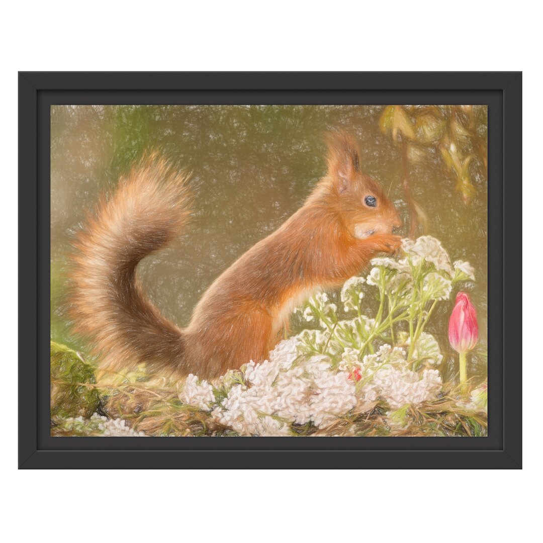 Gerahmtes Poster Gnawing Squirrel und Elch