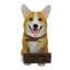 Statue de chien
