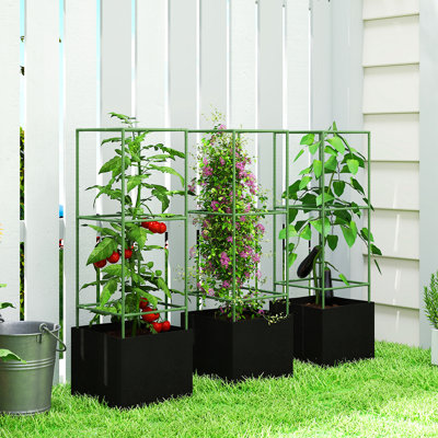 3 Packs Tomato Cages with 13.5 Gallon Grow Bags