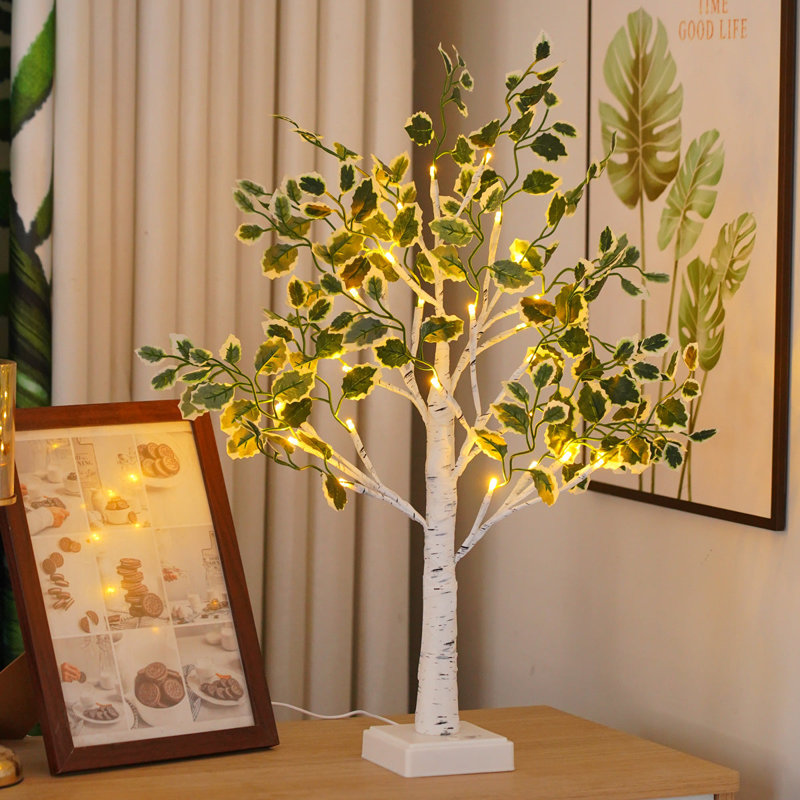 Holiday Lighting