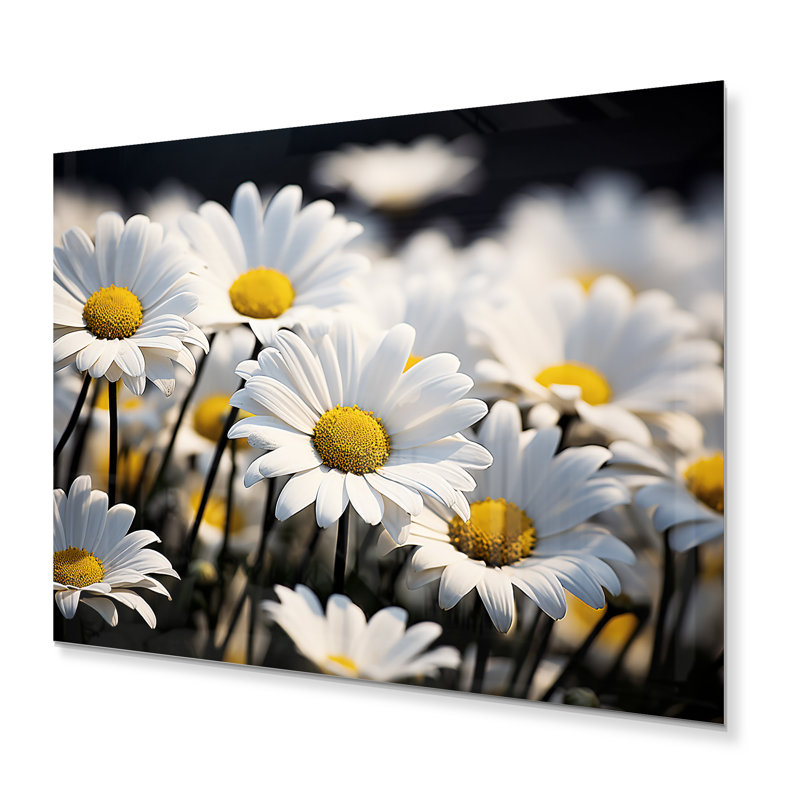 Daisies Field Sunrise I - Décoration murale en métal floral, H 12 po x l 20 po x P 1 po