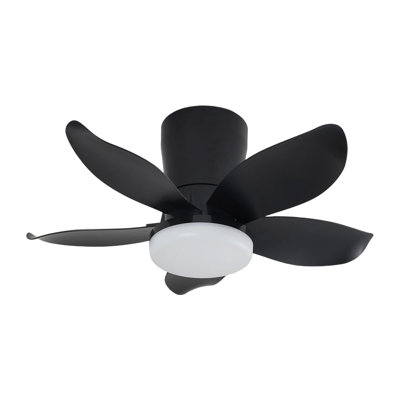 Ceiling Fan with LED Lights