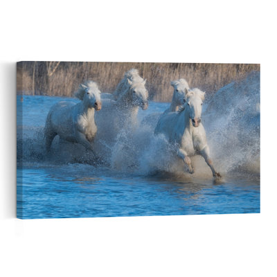 Chevaux blancs sauvages qui courent, impression d'art mural contemporain