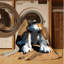  Tapis lavable Fox Terrier Dogs-1269646386