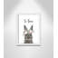 Le lapin est courage-48187568-48187589