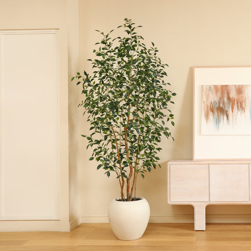 8ft Artificial Ficus Tree with White Tall Planter, Faux Ficus Tree with Natural Trunk