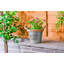 Osullivan Pot Planter