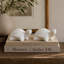 Lily's Living 5.5" W White Marble Turtle Statue (Set Of 2), Indoor Outdoor Décor Sculpture Accessory