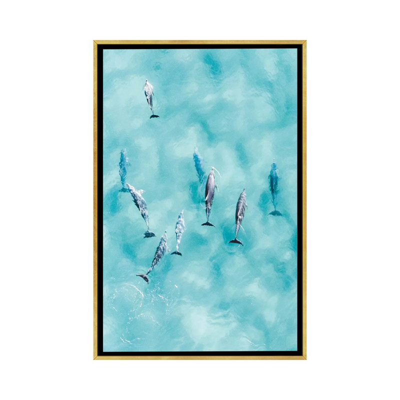 Reproduction d’art, "Cruisy Dolphins III" par Jaxon Roberts, H 26 po x l 18 po x 1,5 po, Toile encadrée d'or, Pas de tapis