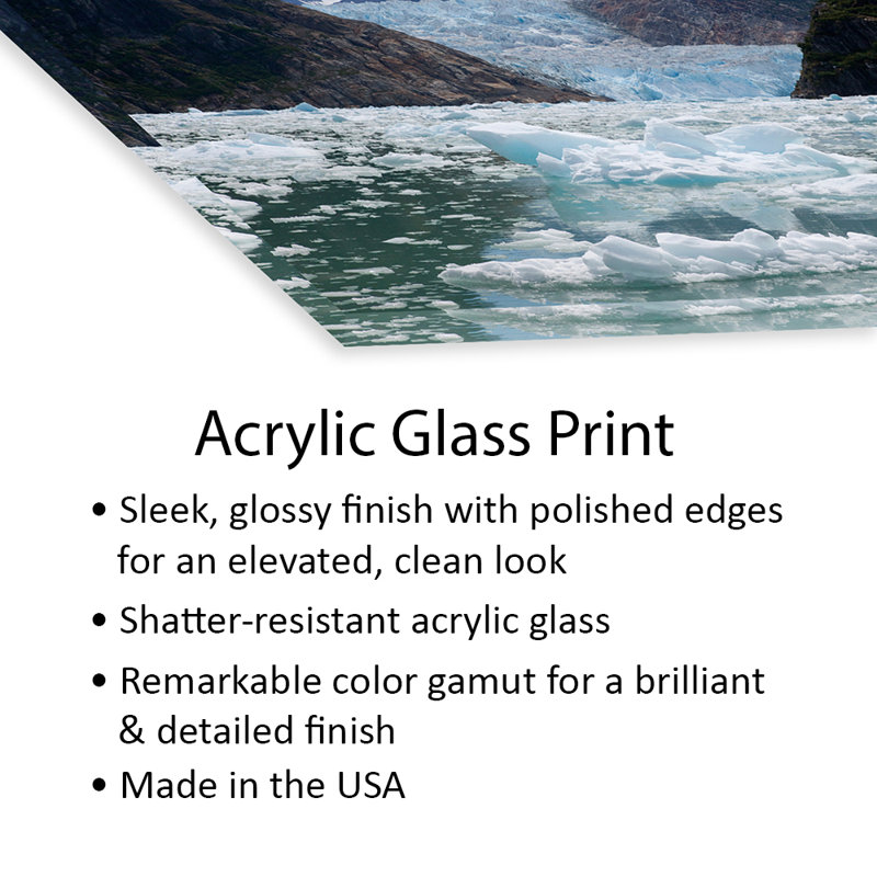 Ardes South Sawyer, glacier et baie remplie de bols, Tracy Arm-Fords Terror Wilderness, forêt nationale de Tongass, Alaska - sans cadre