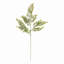 Tige de fougère Maidenhair