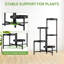Plant Stand - Set of 6