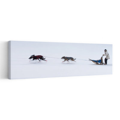 Winter Dog Sledding Team by Cheng Chang - Wrapped Canvas Panoramic Print