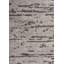 Rapture Area Rug-1791746310