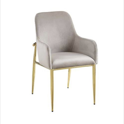 Barnard Upholstered Arm Chair in Gray and Mirrored Gold (Set of 2)