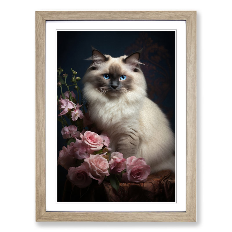 Ragdoll Cat Classicism - Single Picture Frame Print on Wood, Oak Framed, 34cm H x 25cm W x 2cm D