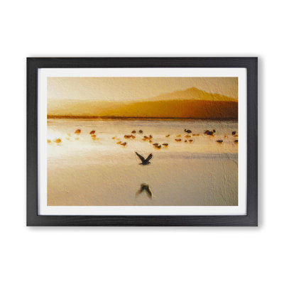 Birds on The Beach - Framed Print