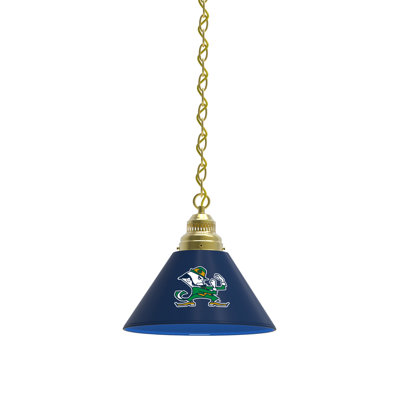 1 - Light Single Pendant