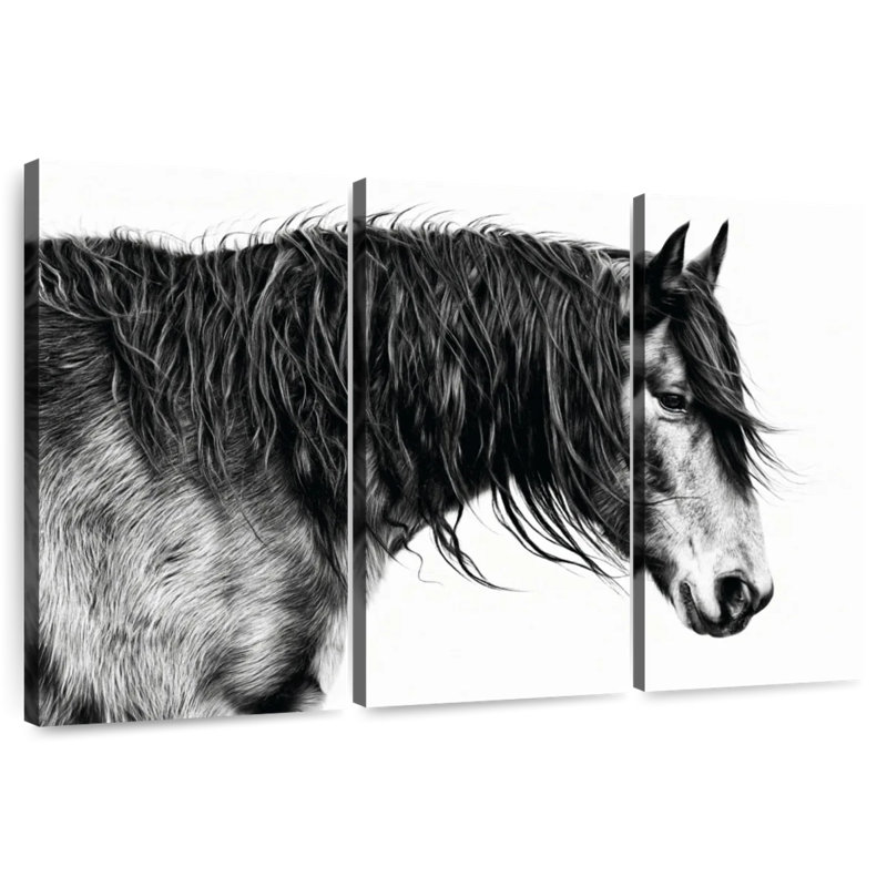 Portrait de cheval Brampt noir et blanc III, H 24 po x l 38 po