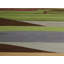 Area Rug in Multicolor
