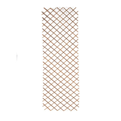 EXPANDABLE TRELLIS 2'