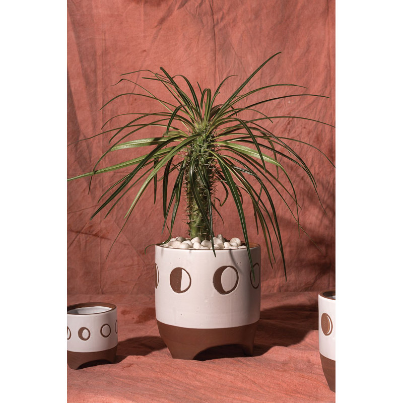 Pot de fleurs en céramique , H 7,75 po x l 7,5 po x P 7,5 po